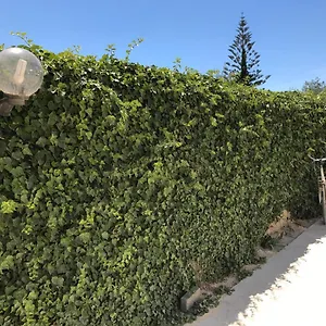 Zibi&bibbo Casa vacanze Marsala